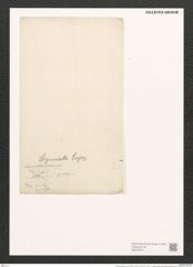 Nitzschia sigma var. curvula (Ehr.b.)? Brun. (de-Toni-Nr.: Genus 47, Species 2099) Zeichnungen Sammlung Grunow (NHMW-BOT-W0372075)